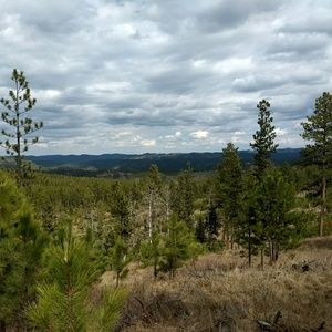 Meet your Posher, Jared